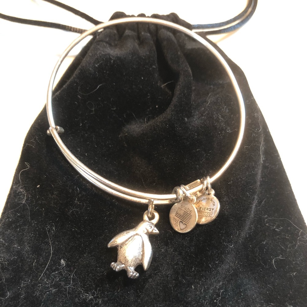 Alex and Ani Penguin Bangle